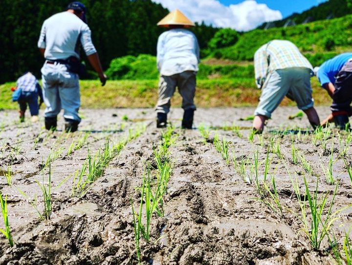 茨城県全体