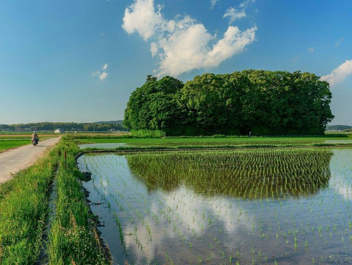 玉城町
