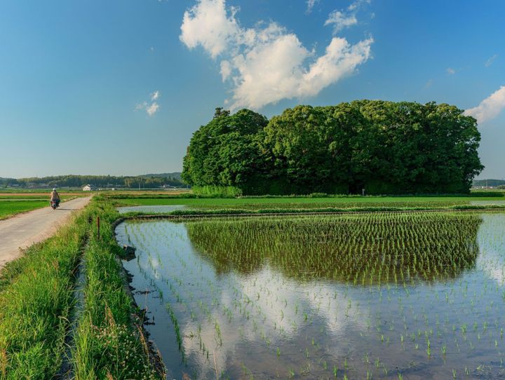 玉城町