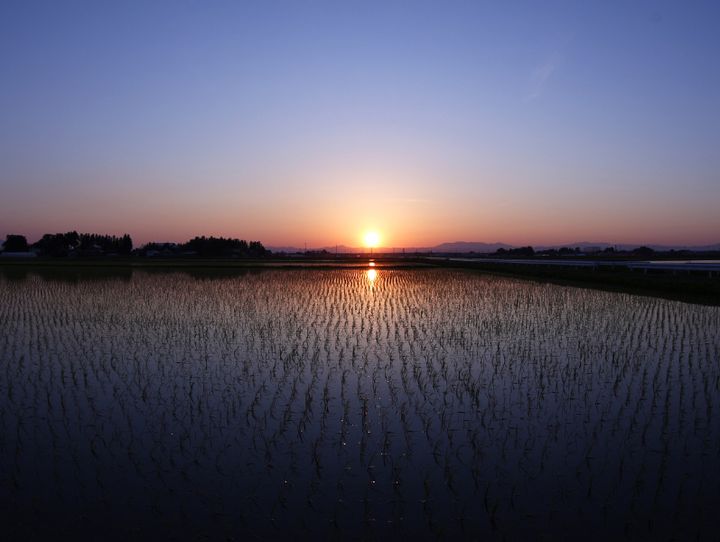 大崎市