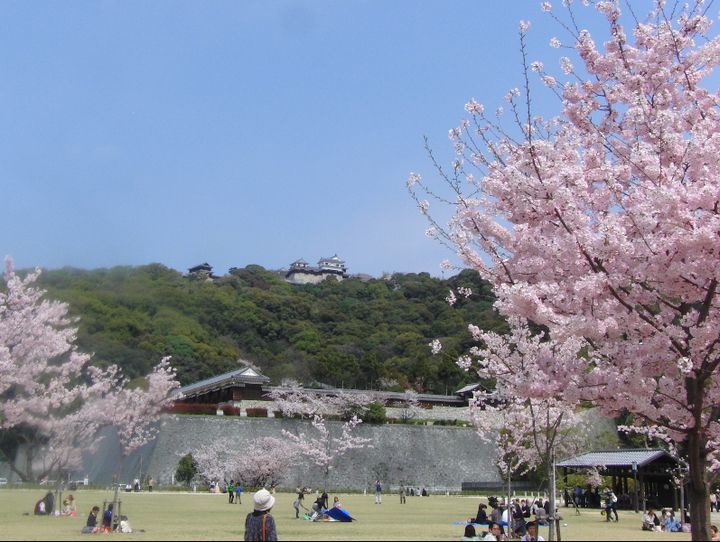 愛媛県全体