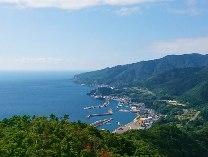 越前町