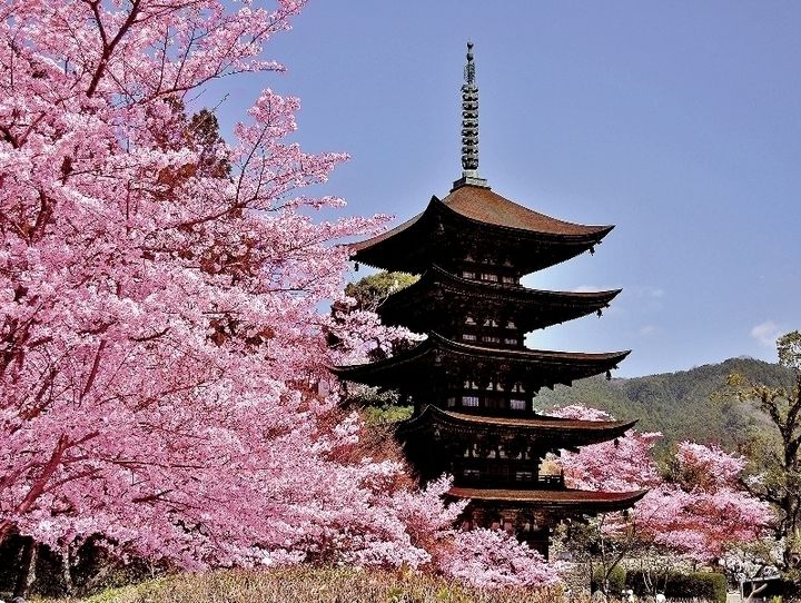 山口市