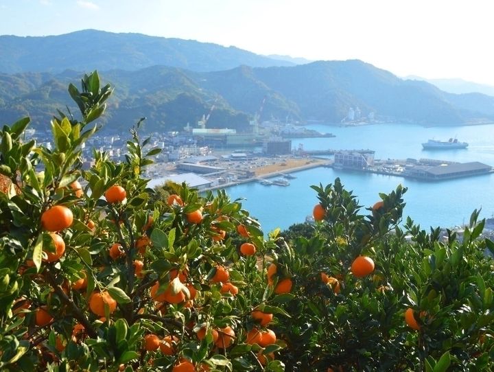 八幡浜市