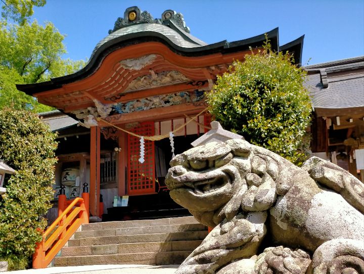 鹿児島県全体