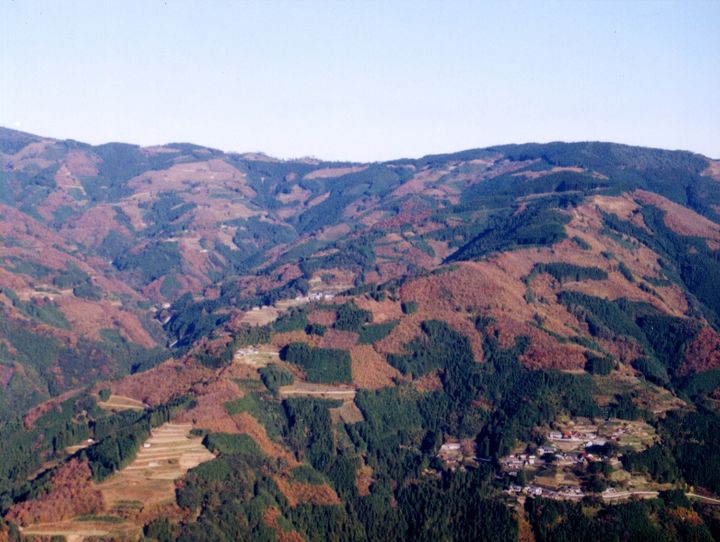 諸塚村