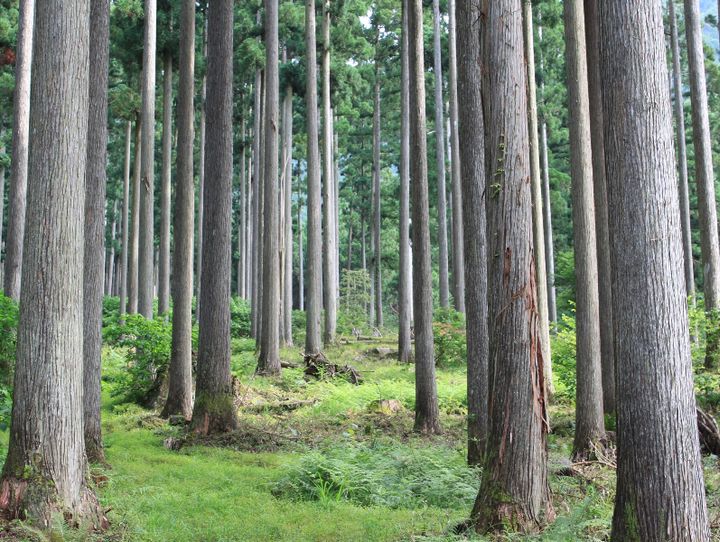 西粟倉村