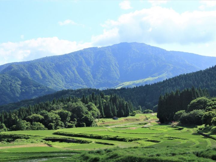 兵庫県全体