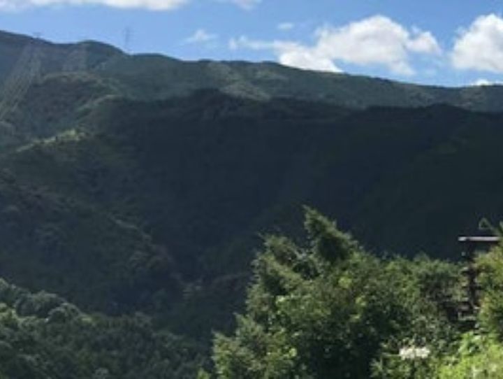 紀美野町
