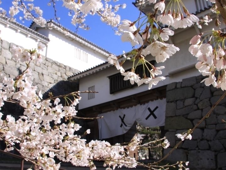 二本松市