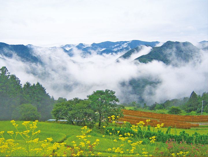和歌山市