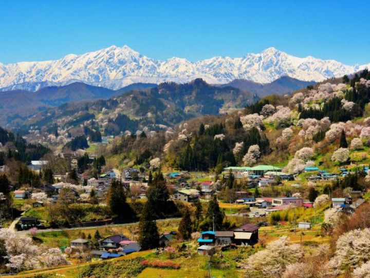 小川村