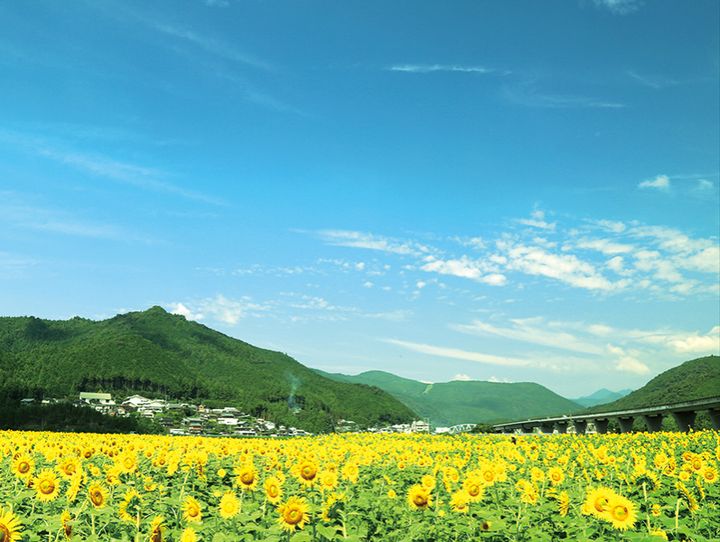 新宮市