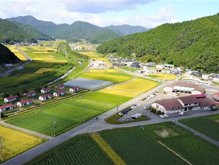 丹波篠山市