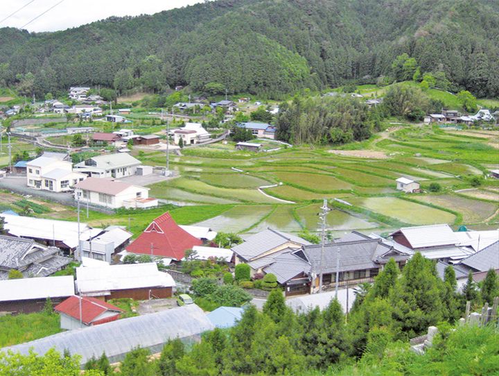 高野町