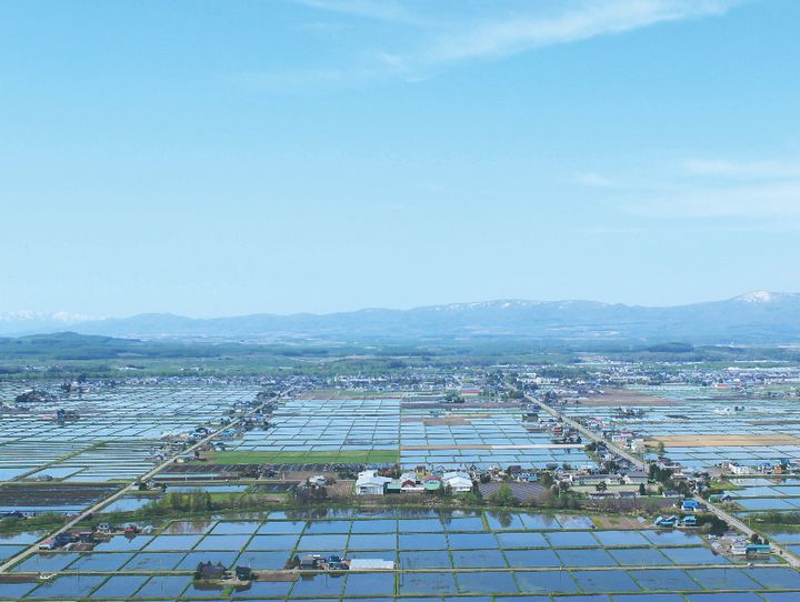東川町