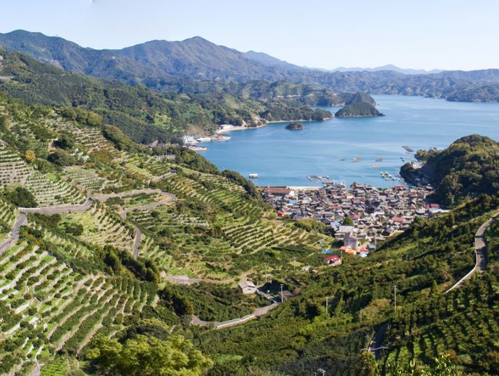 愛媛県全体