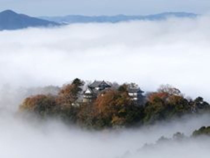 高梁市