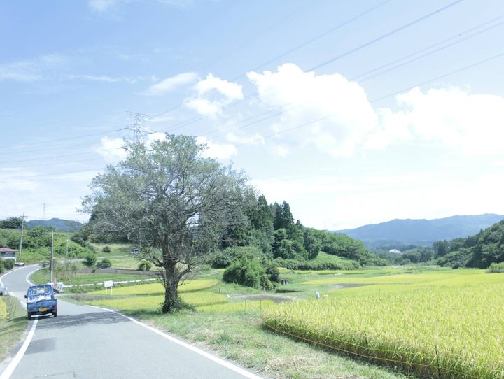 高山村