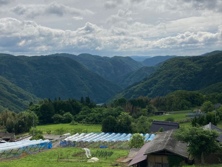 高梁市