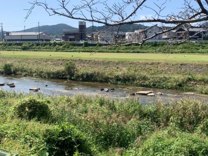 甲賀市