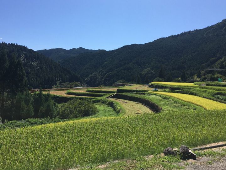 田辺市