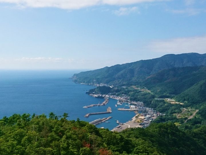 越前町