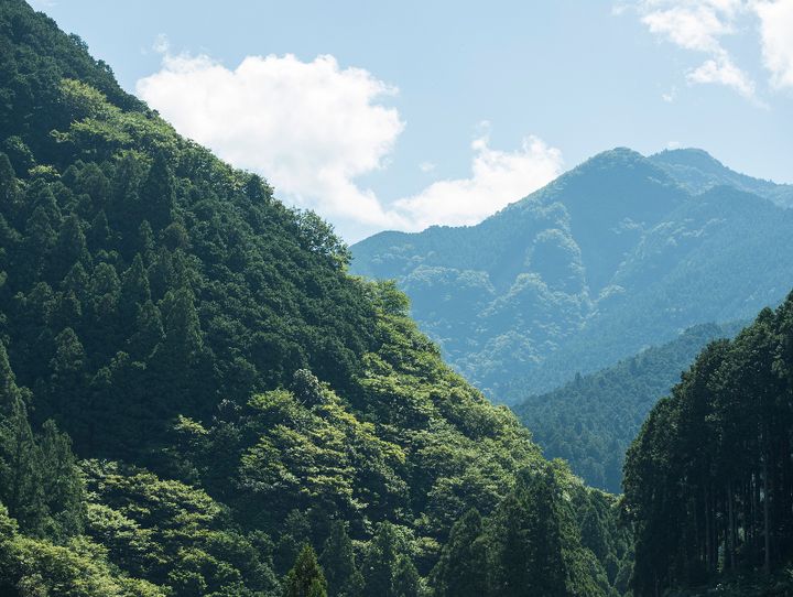 川上村