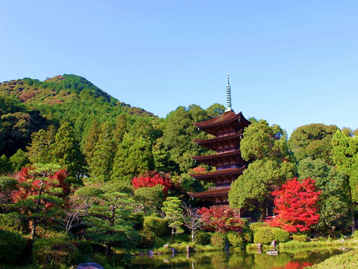 山口市