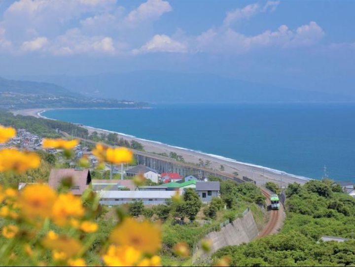 高知県全体