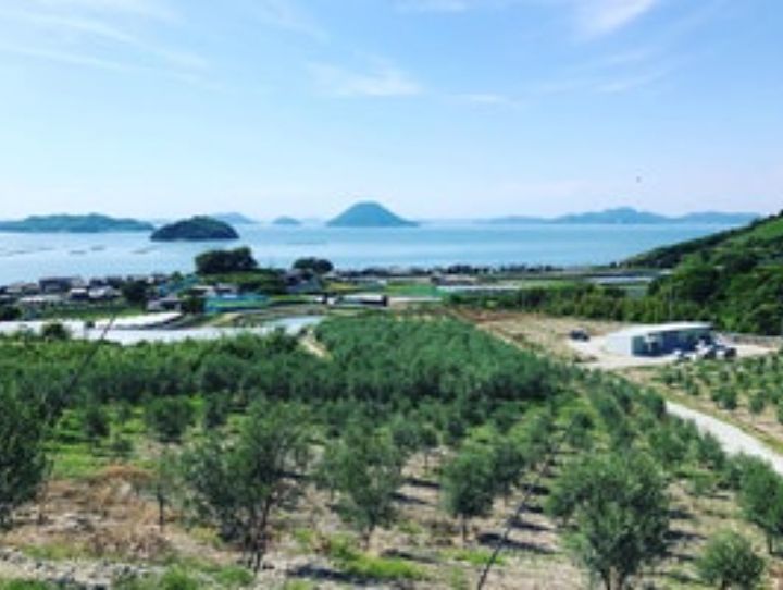 多度津町