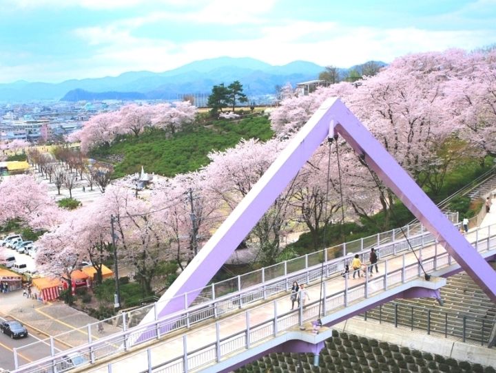 鯖江市