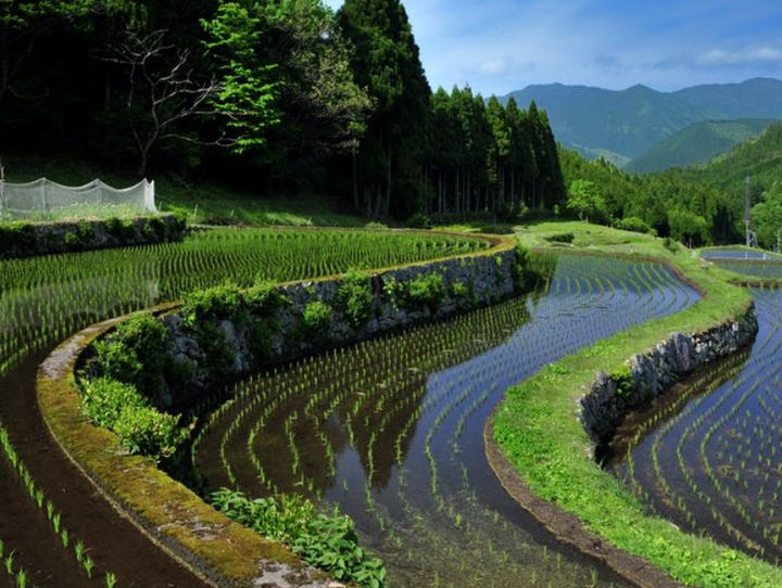 智頭町