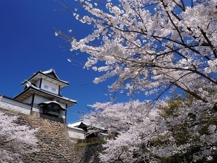 石川県全体