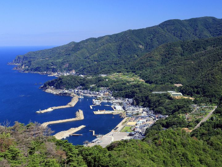 越前町