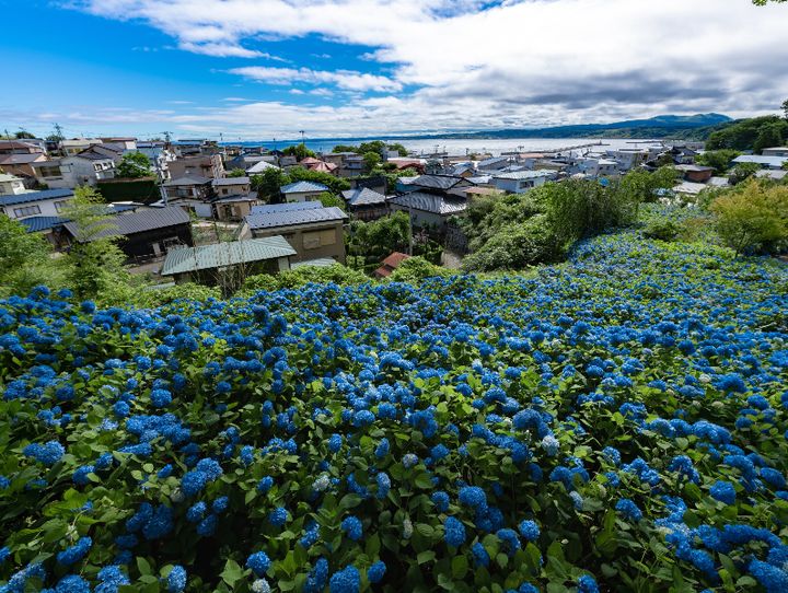 男鹿市