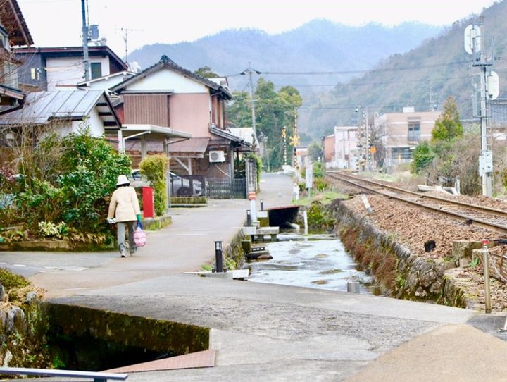 鳥取市