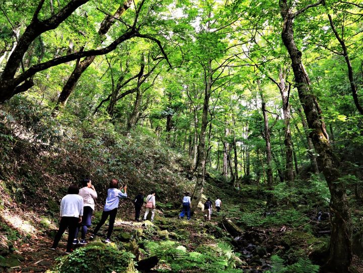 西粟倉村