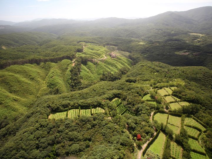 大和村