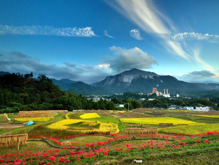 横瀬町