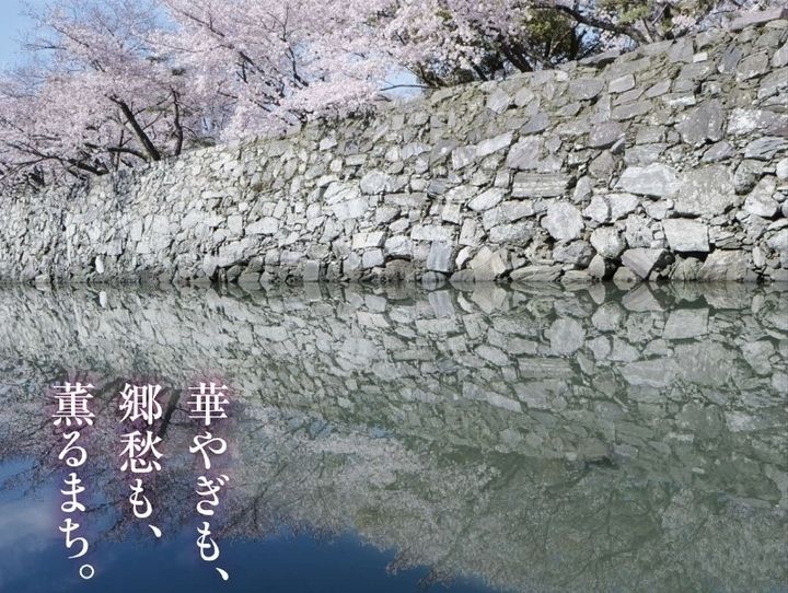 徳島市