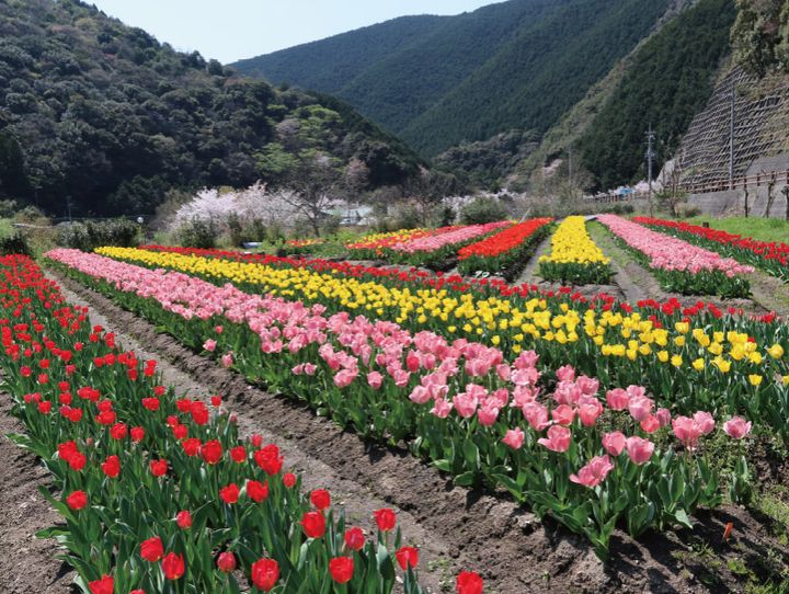 広川町