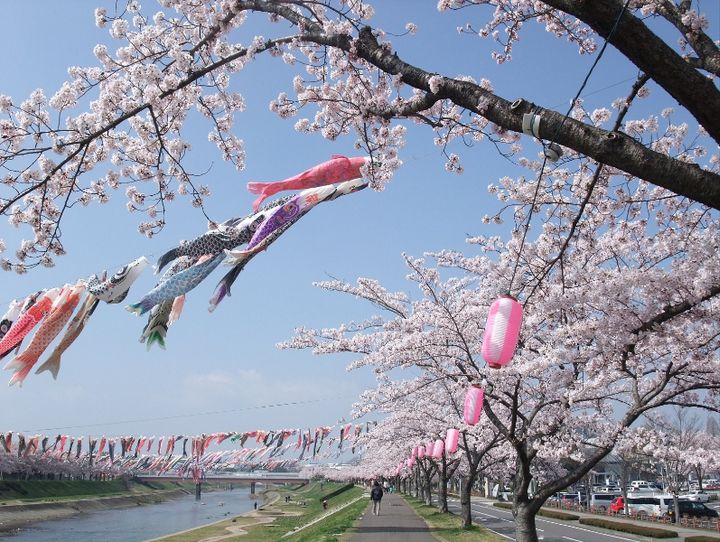 須賀川市