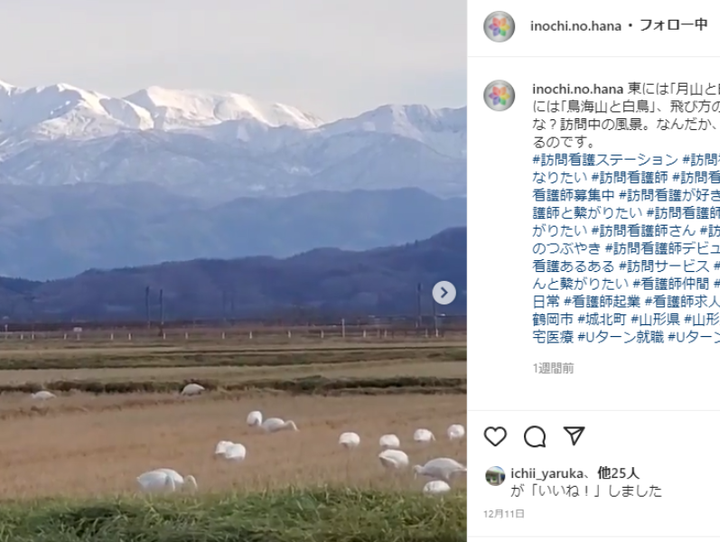 鶴岡市