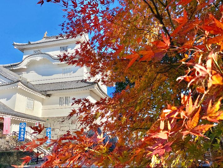 大多喜町