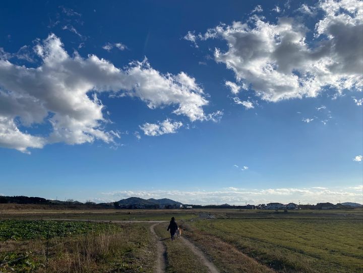 山口市