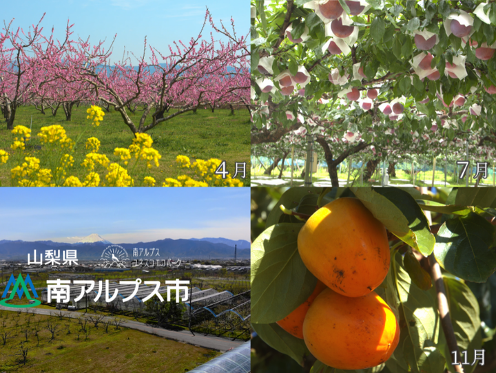 南アルプス市