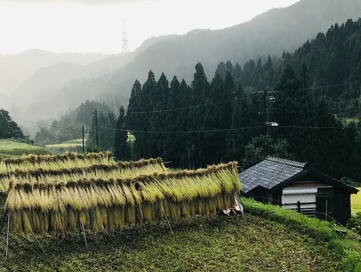 南砺市