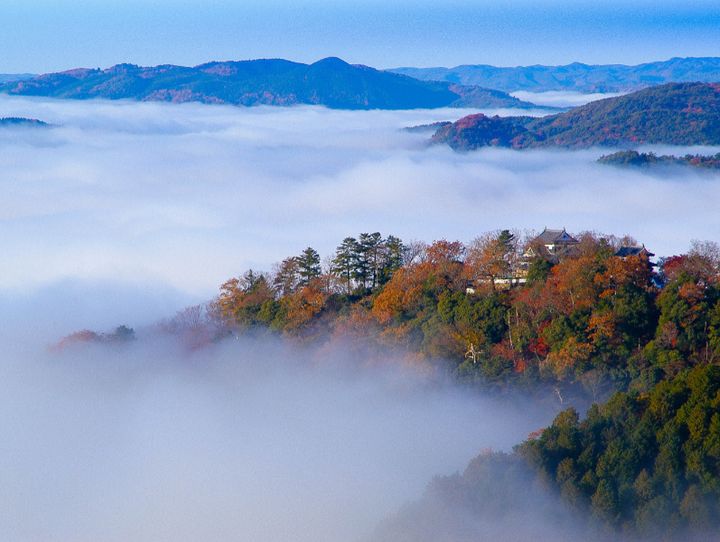 高梁市