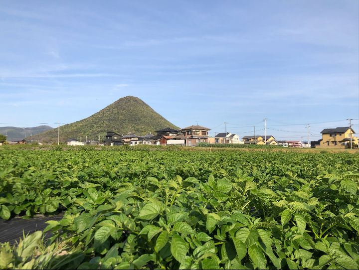 丸亀市